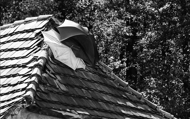 umbrellas-on-leaking-roof