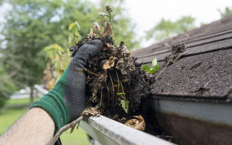 keeping your gutters clean