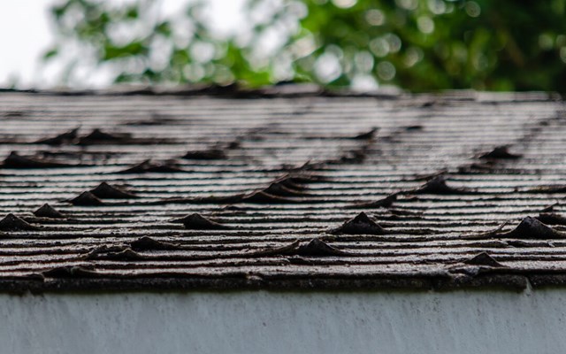 curling shingles