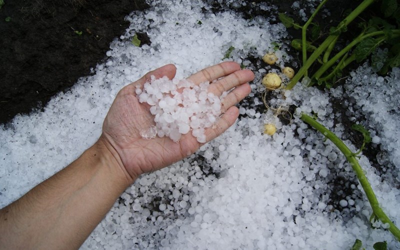 hail in hand