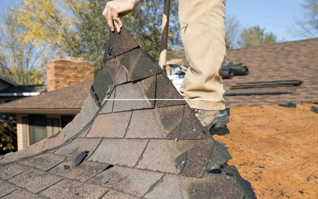 How to Navigate Roof Damage Insurance Claims After a Storm - Werner ...