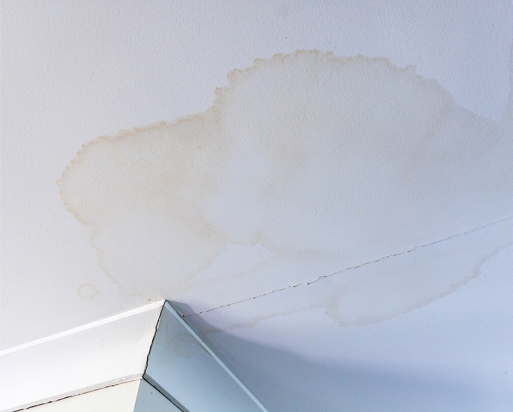 Common signs of roof damage on Michigan homes