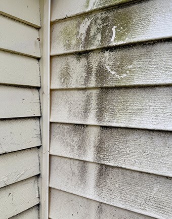 inspecting siding condition