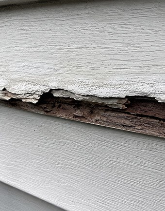 inspecting rotting siding